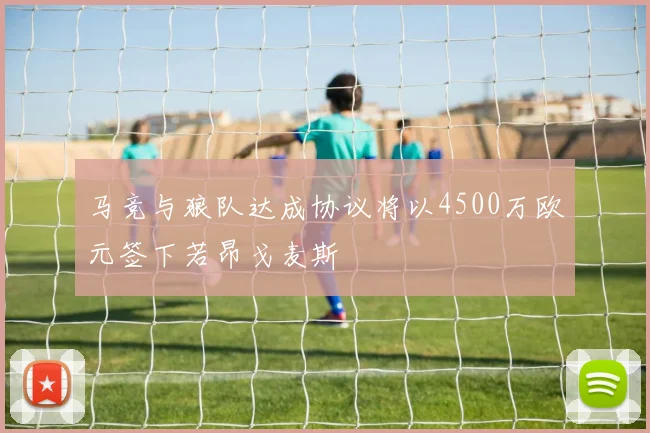 马竞与狼队达成协议将以4500万欧元签下若昂戈麦斯